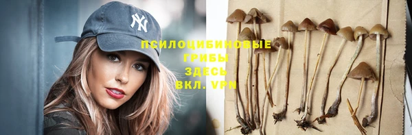 mix Няндома