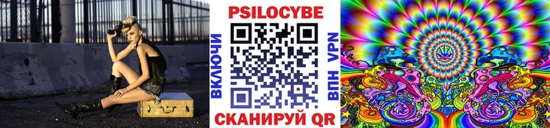 Псилоцибиновые грибы Psilocybine cubensis  Оханск 
